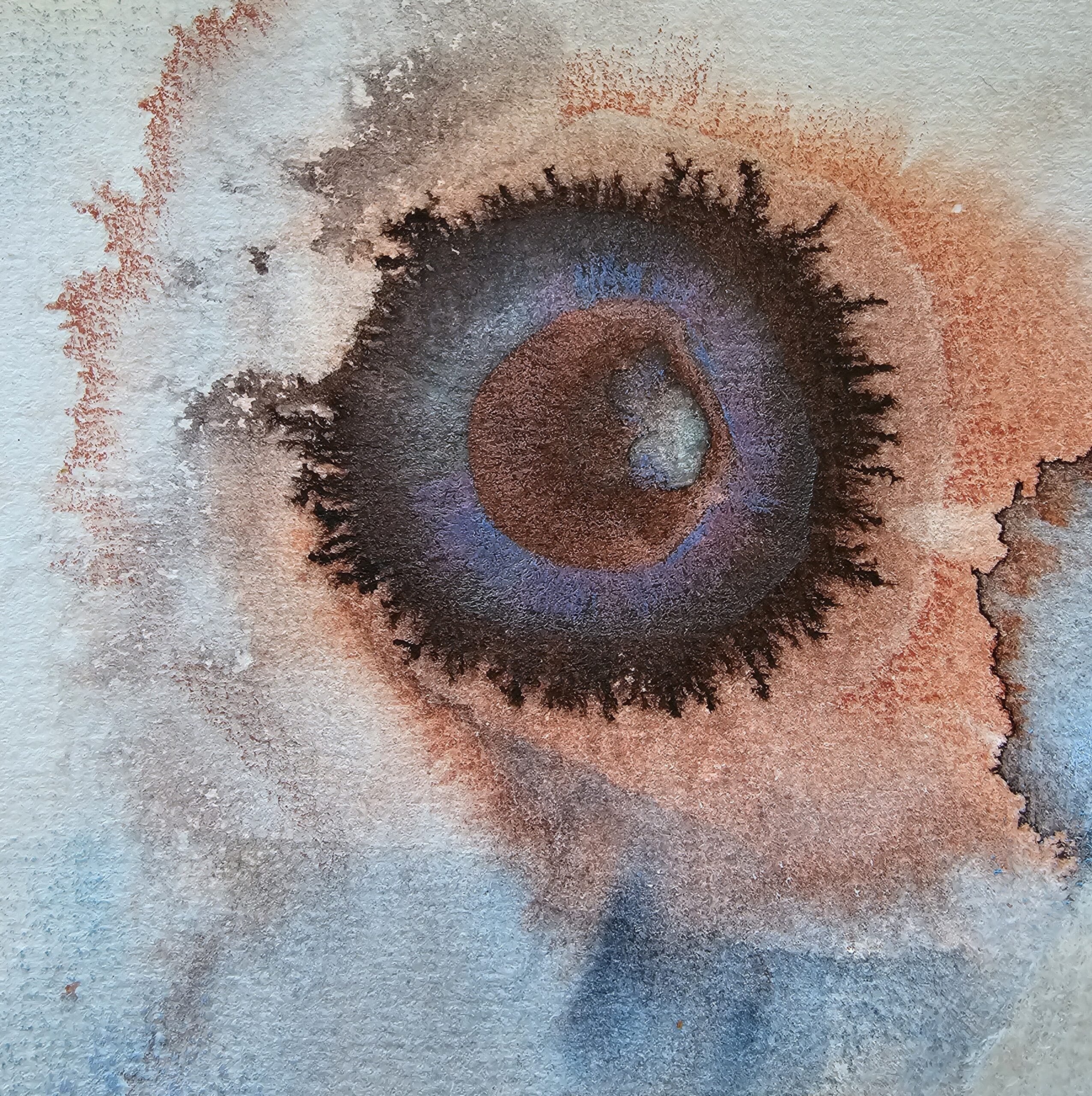 Evelien Vink-Wit