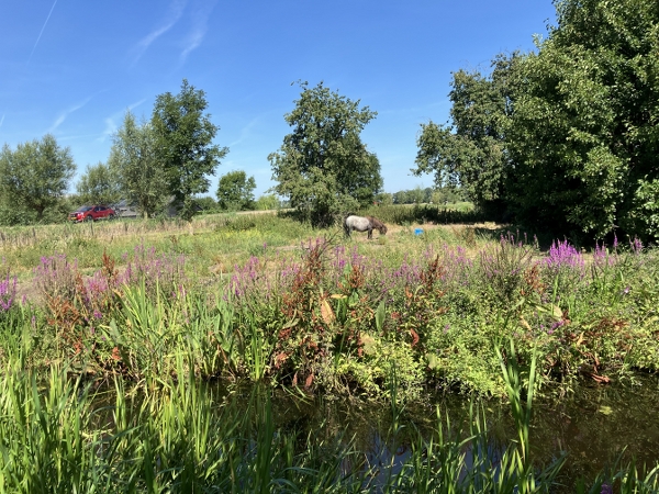 Buiten schilderen Noordeloos