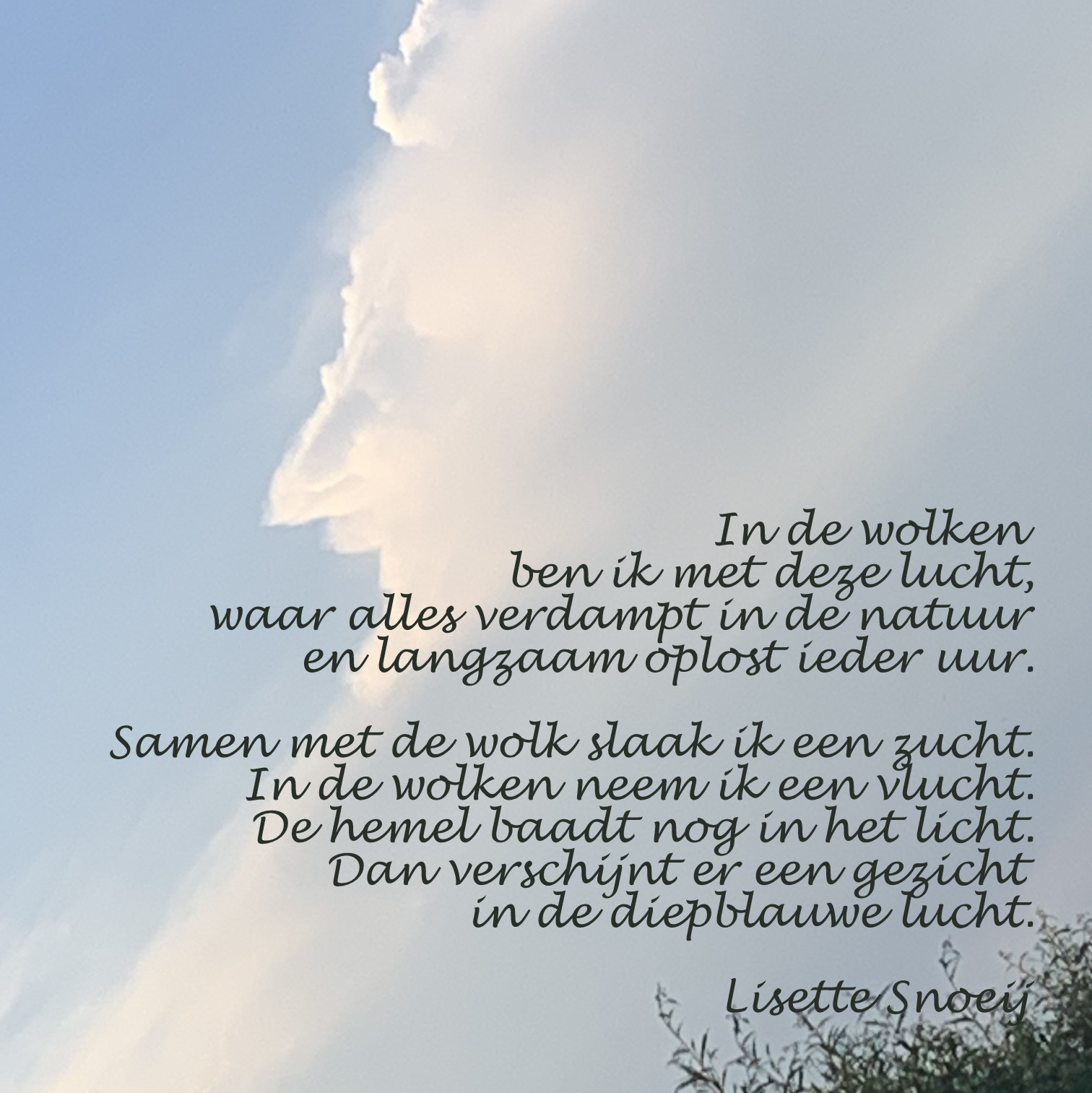 Lisette Snoeij